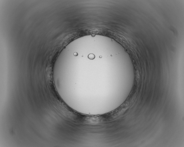 X0000113270181200909101318