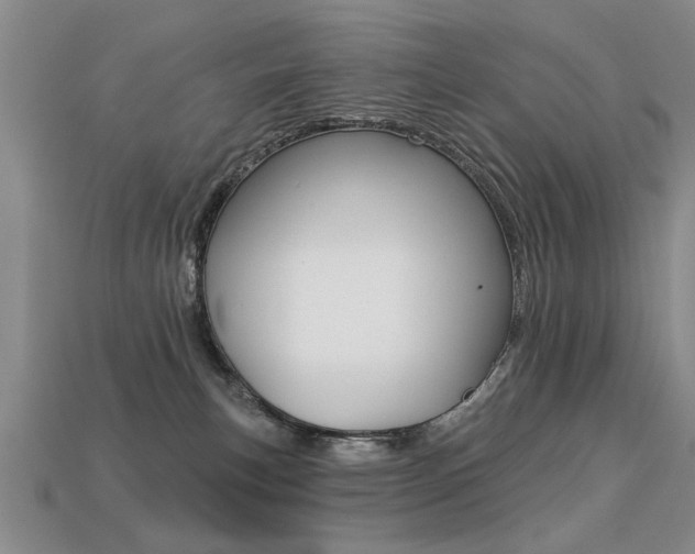 X0000113270183200909101318