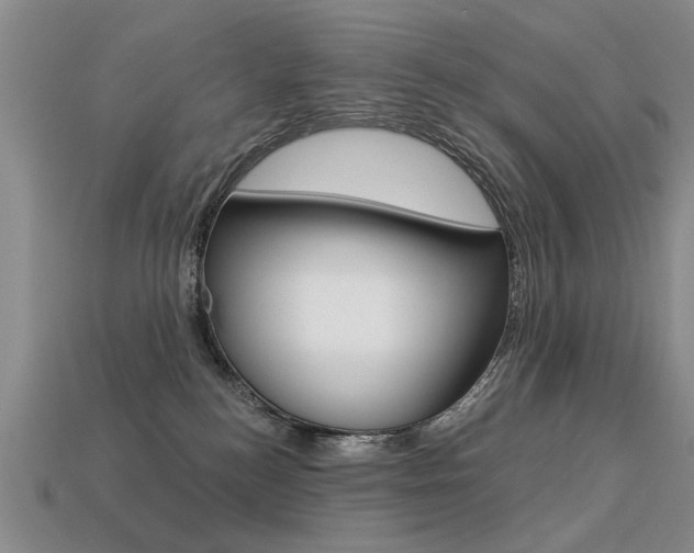 X0000113270184200909101318