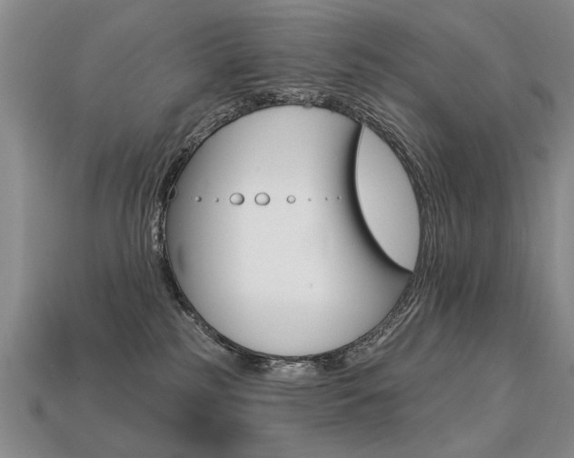 X0000113270185200909101318