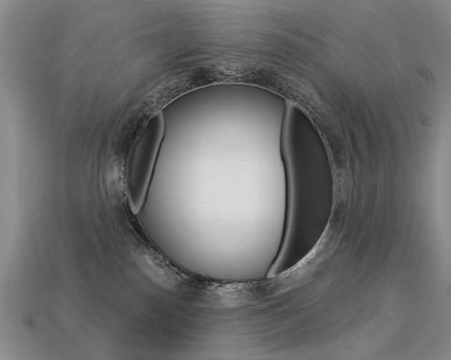 X0000113270186200909101318