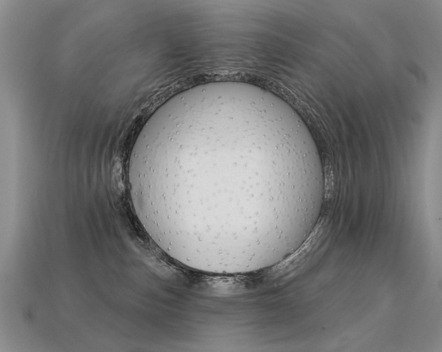 X0000113270187200909101318
