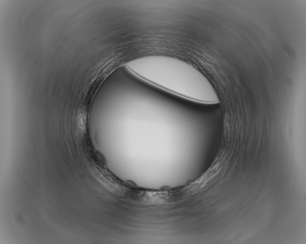 X0000113270188200909101318