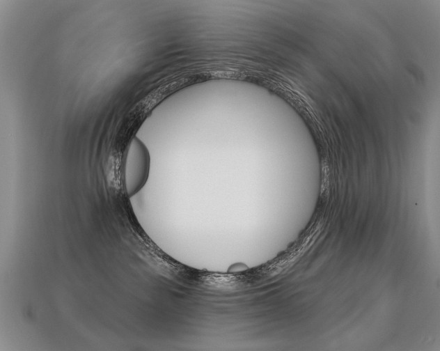 X0000113270189200909101318
