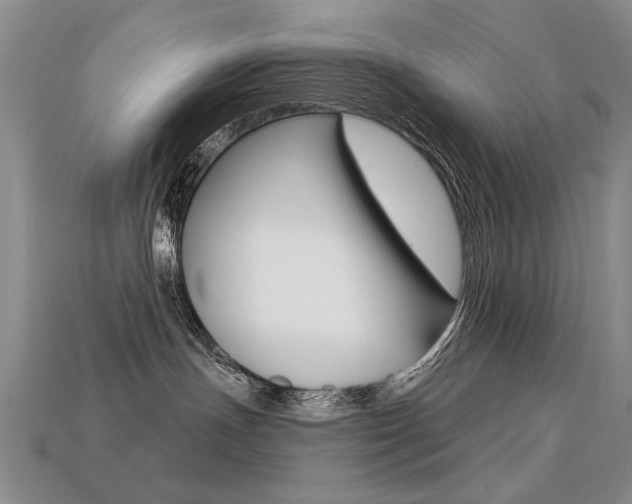 X0000113270191200909101318