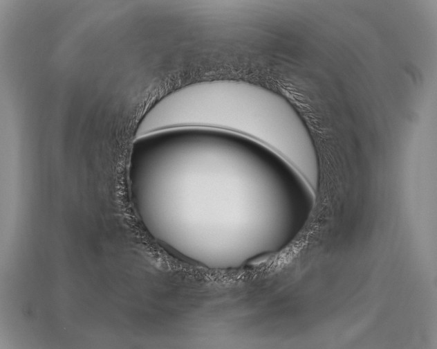 X0000113270192200909101318