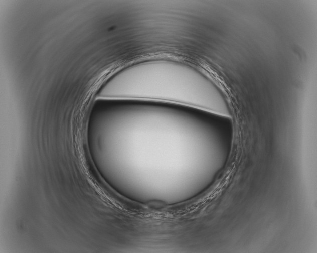 X0000113270193200909101318