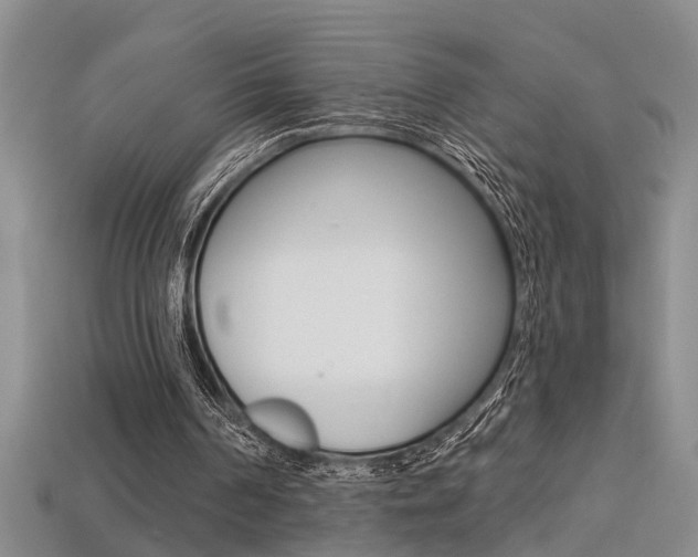X0000113270194200909101318