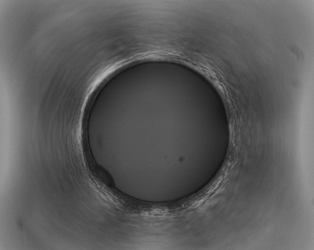 X0000113270196200909101318