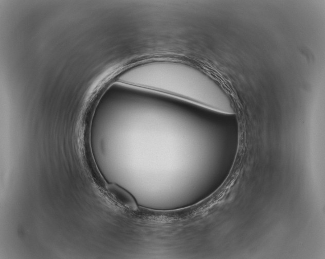X0000113270197200909101318