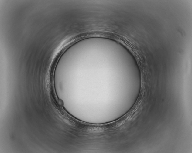 X0000113270198200909101318