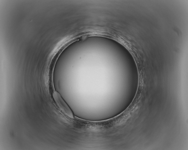 X0000113270199200909101318