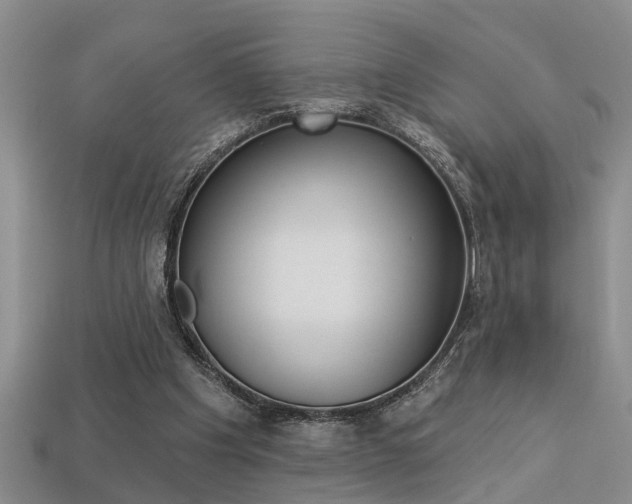 X0000113270201200909101318