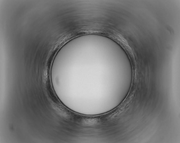 X0000113270202200909101318