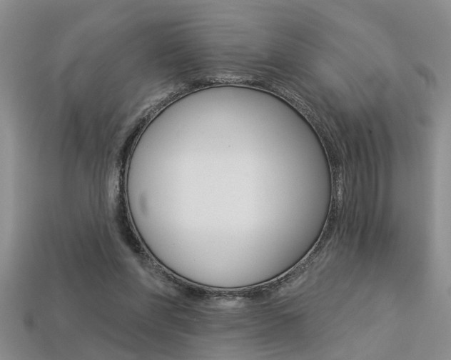 X0000113270206200909101317