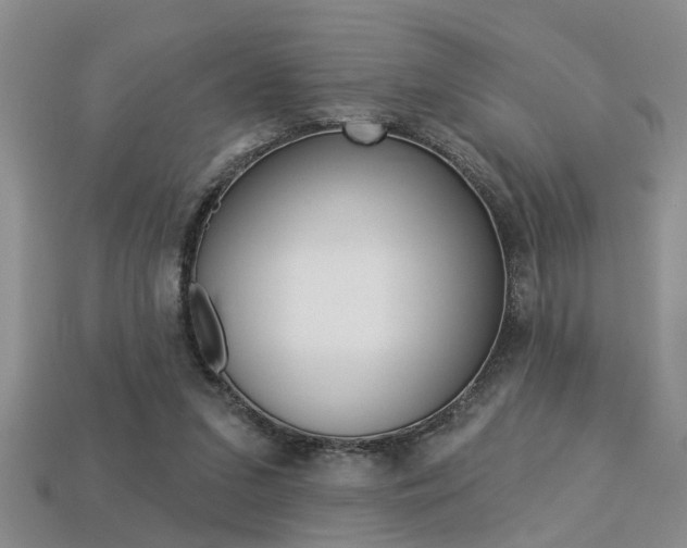 X0000113270207200909101317