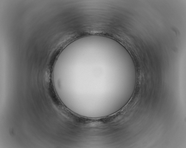 X0000113270210200909101317