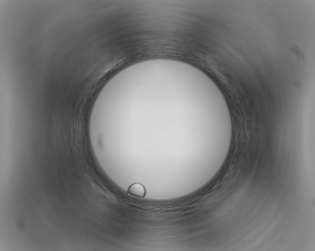 X0000113270211200909101317