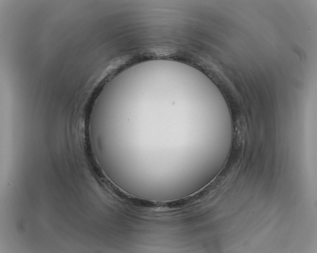 X0000113270212200909101317
