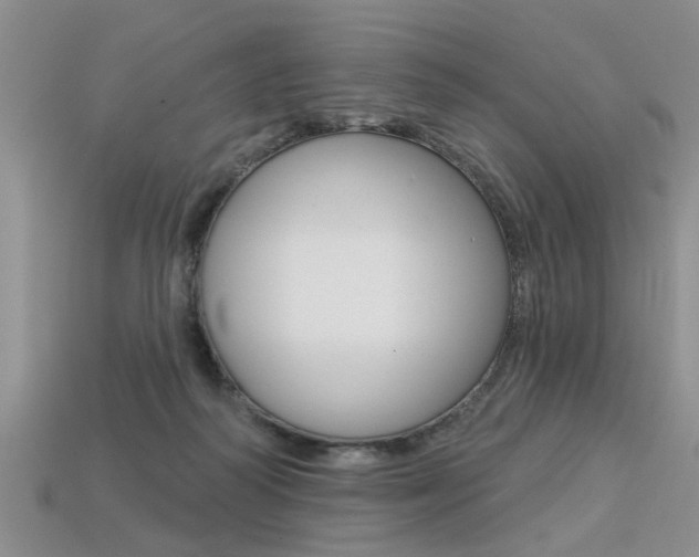 X0000113270218200909101317