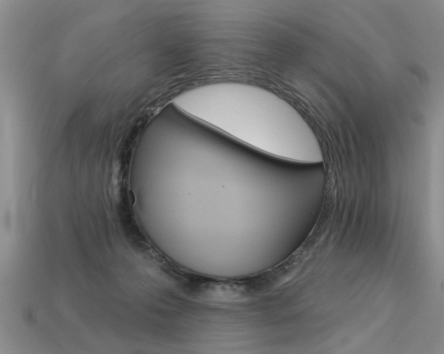 X0000113270223200909101317