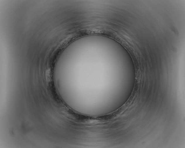 X0000113270224200909101317