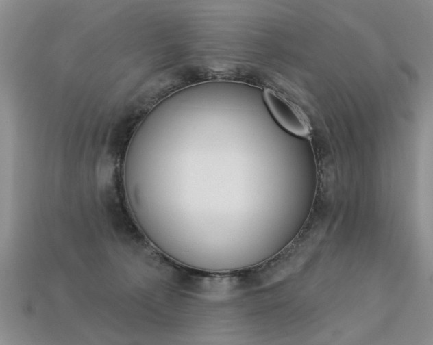 X0000113270225200909101317