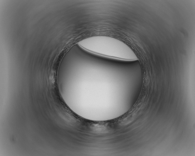 X0000113270232200909101317