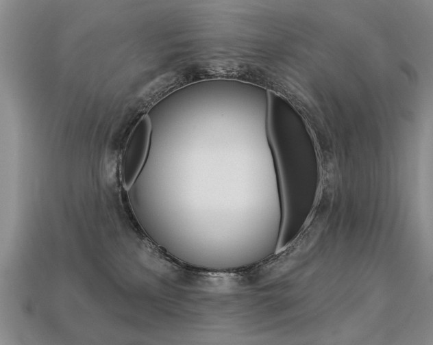 X0000113270233200909101317