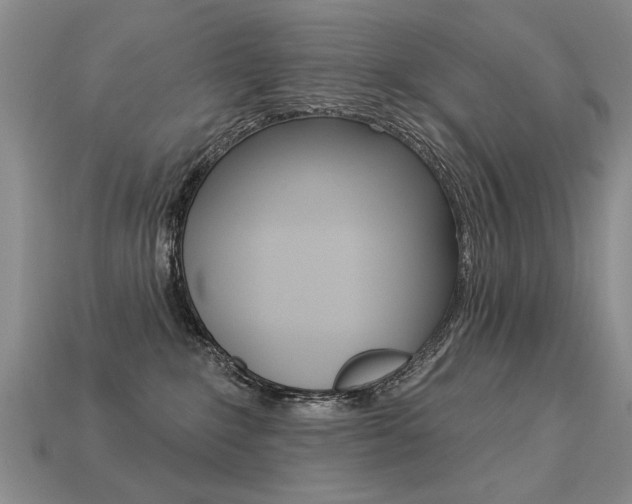 X0000113270235200909101317