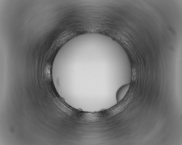 X0000113270238200909101317