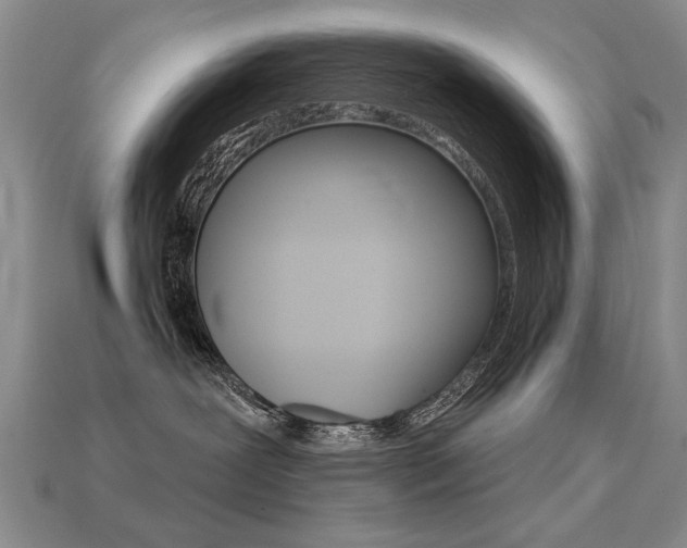 X0000113270239200909101317
