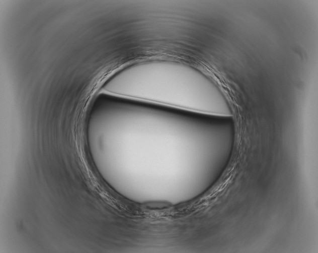 X0000113270241200909101316