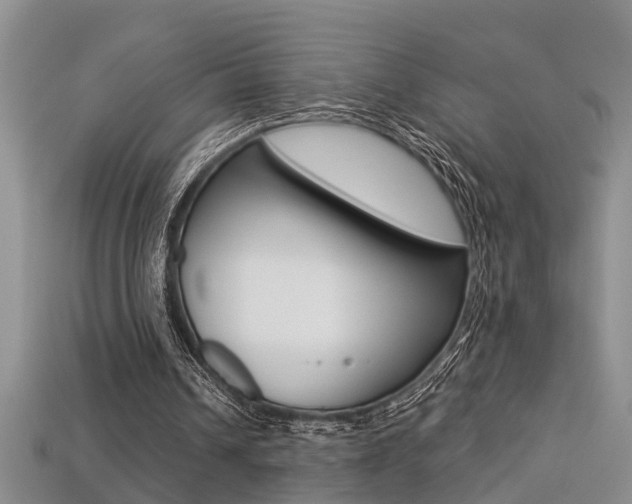 X0000113270242200909101316