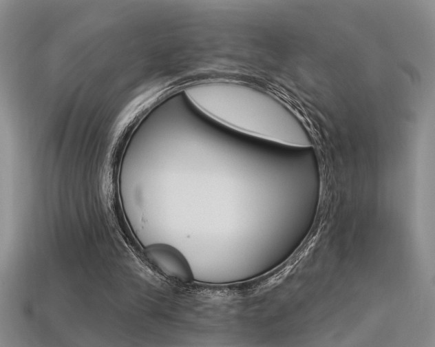 X0000113270245200909101316