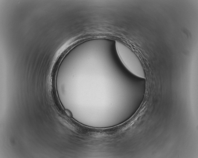 X0000113270246200909101316