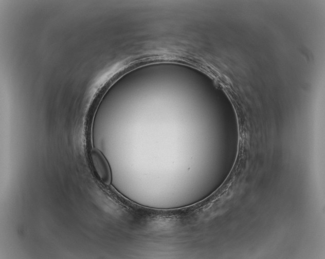 X0000113270248200909101316