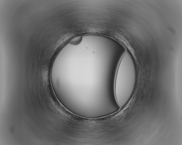 X0000113270249200909101316