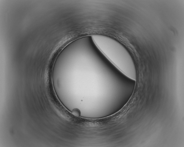X0000113270250200909101316