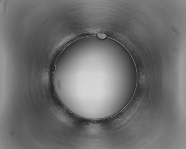 X0000113270256200909101316