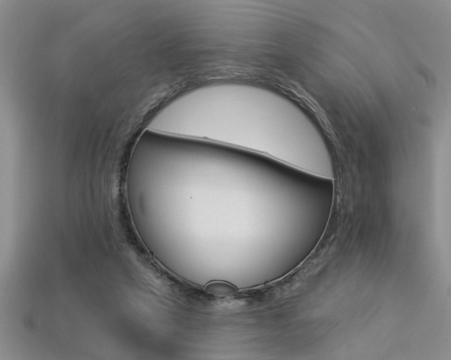 X0000113270257200909101316