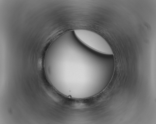 X0000113270262200909101317