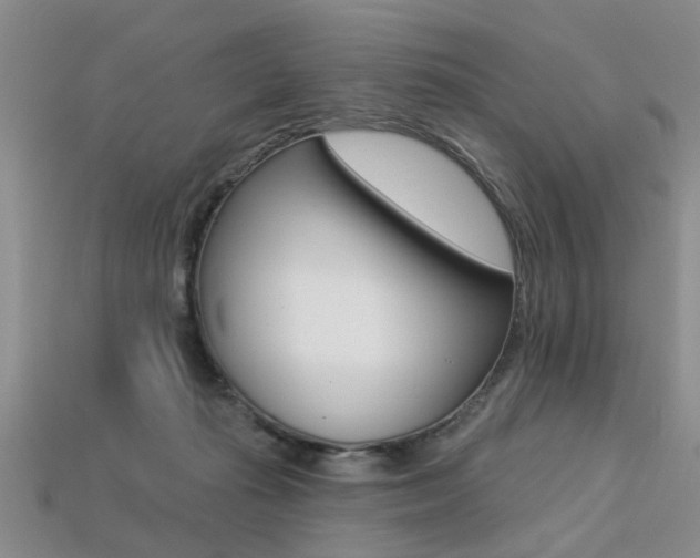 X0000113270269200909101317
