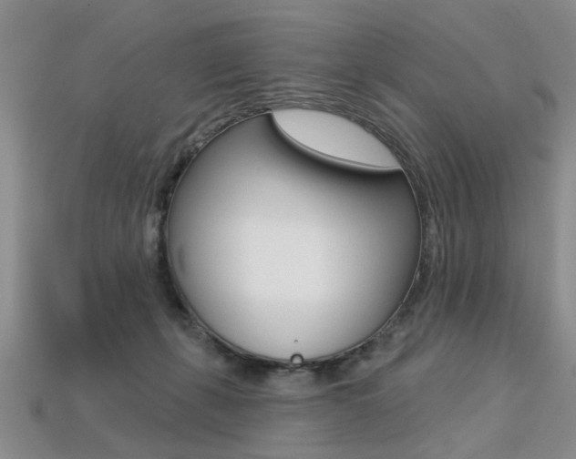 X0000113270271200909101317