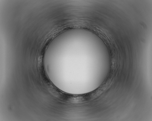 X0000113270278200909101317