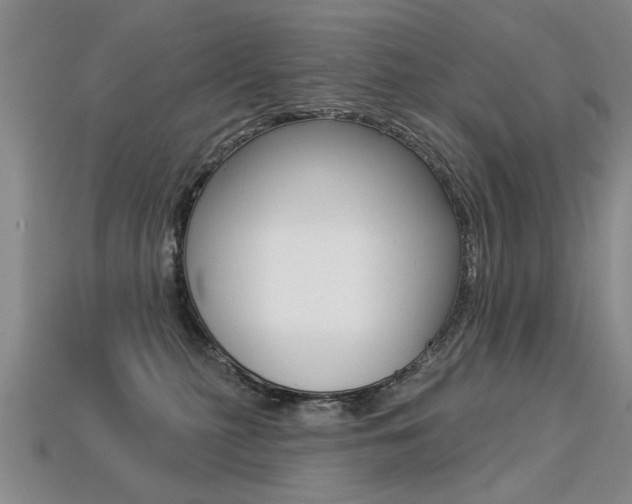 X0000113270279200909101317