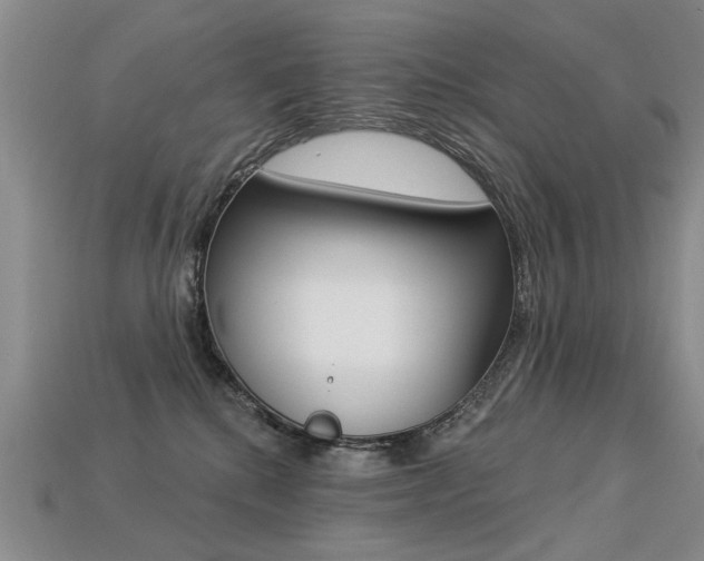 X0000113270280200909101317