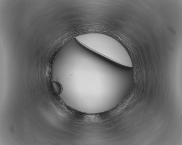 X0000113270281200909101317