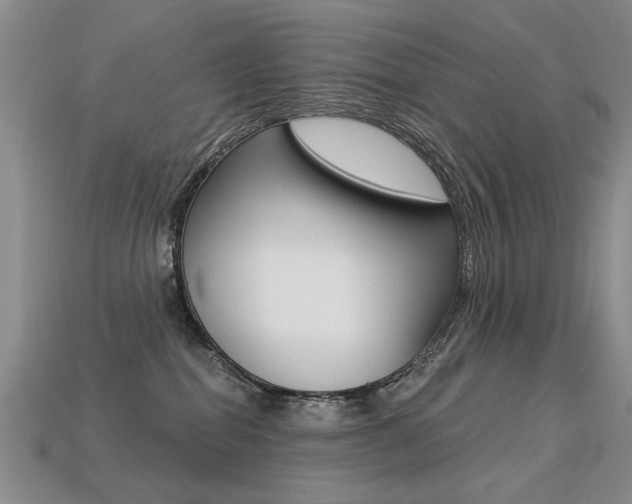 X0000113270282200909101317