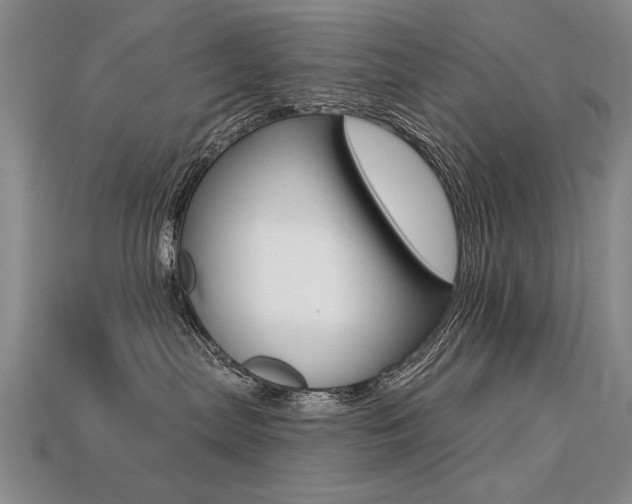 X0000113270287200909101317